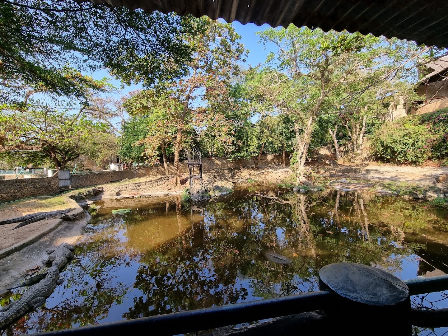Mamba Village